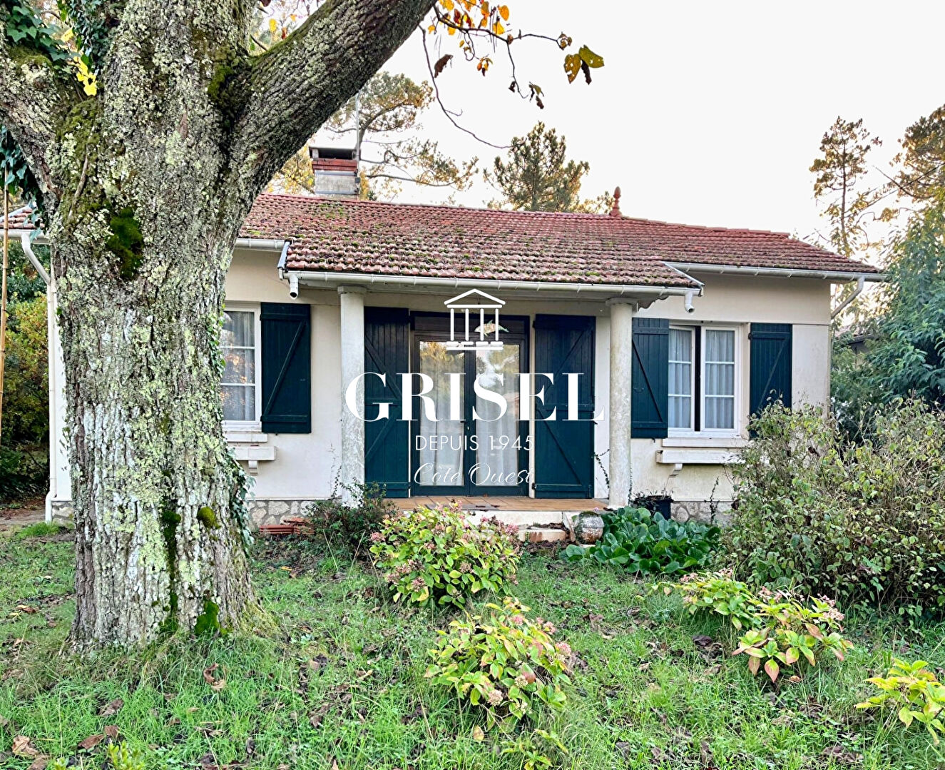 Agence immobilière de GRISEL IMMOBILIER - GRISEL IMMOBILIER BORDEAUX