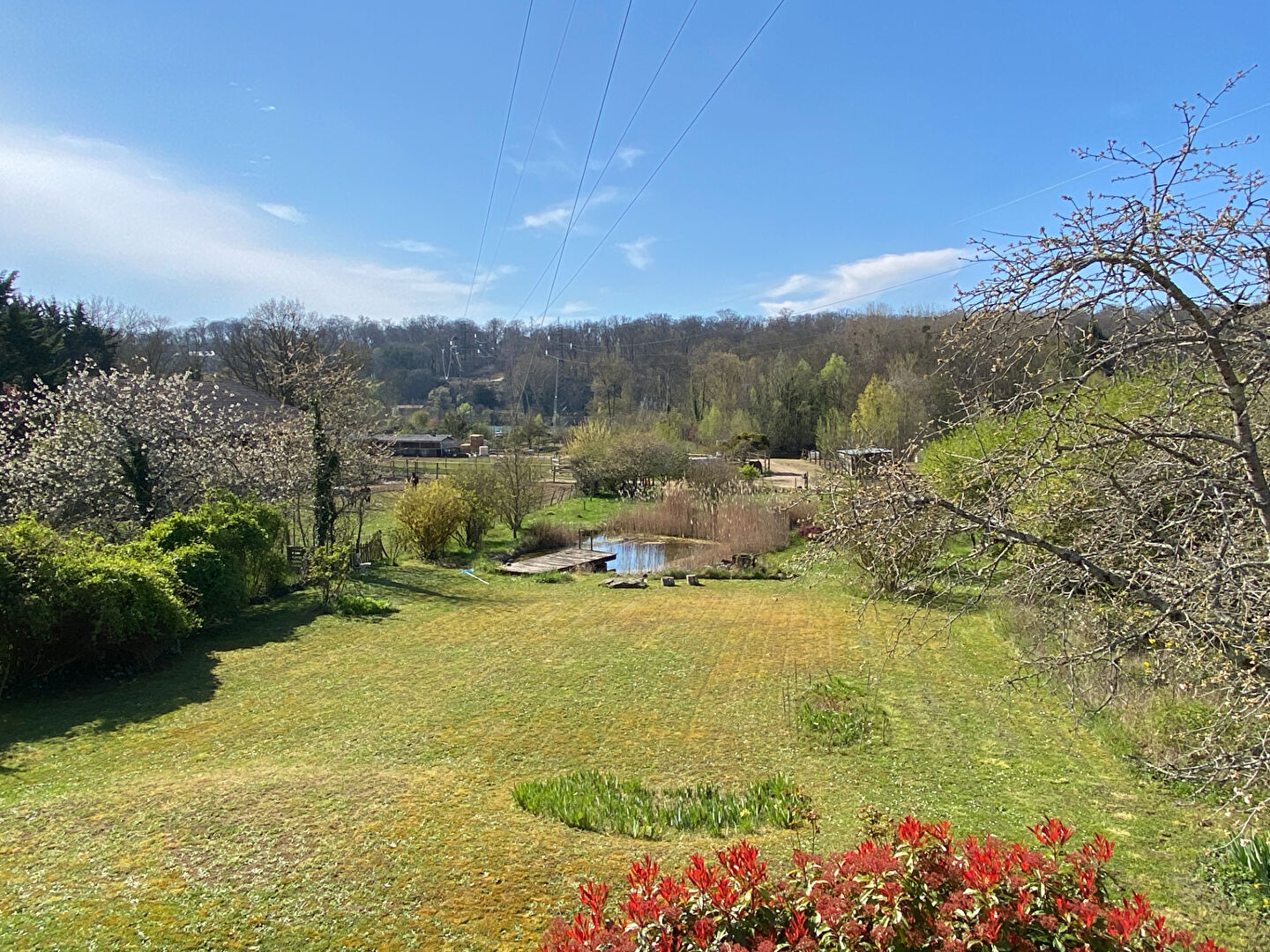 Photo Maison d'architecte sur superbe jardin de 2500m2 image 5/6