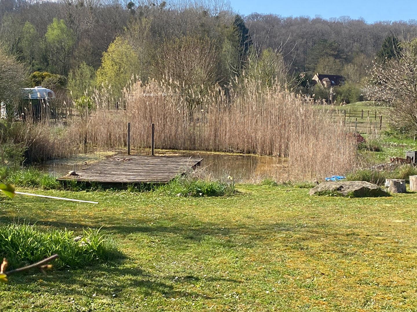 Photo Maison d'architecte sur superbe jardin de 2500m2 image 6/6