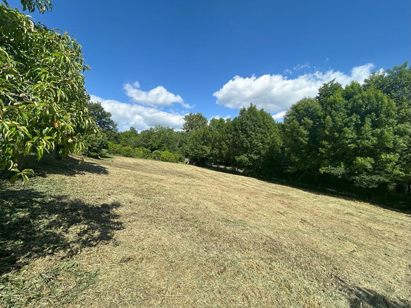 Photo Terrain de 1200m² dans le bourg d'Ussac image 2/2