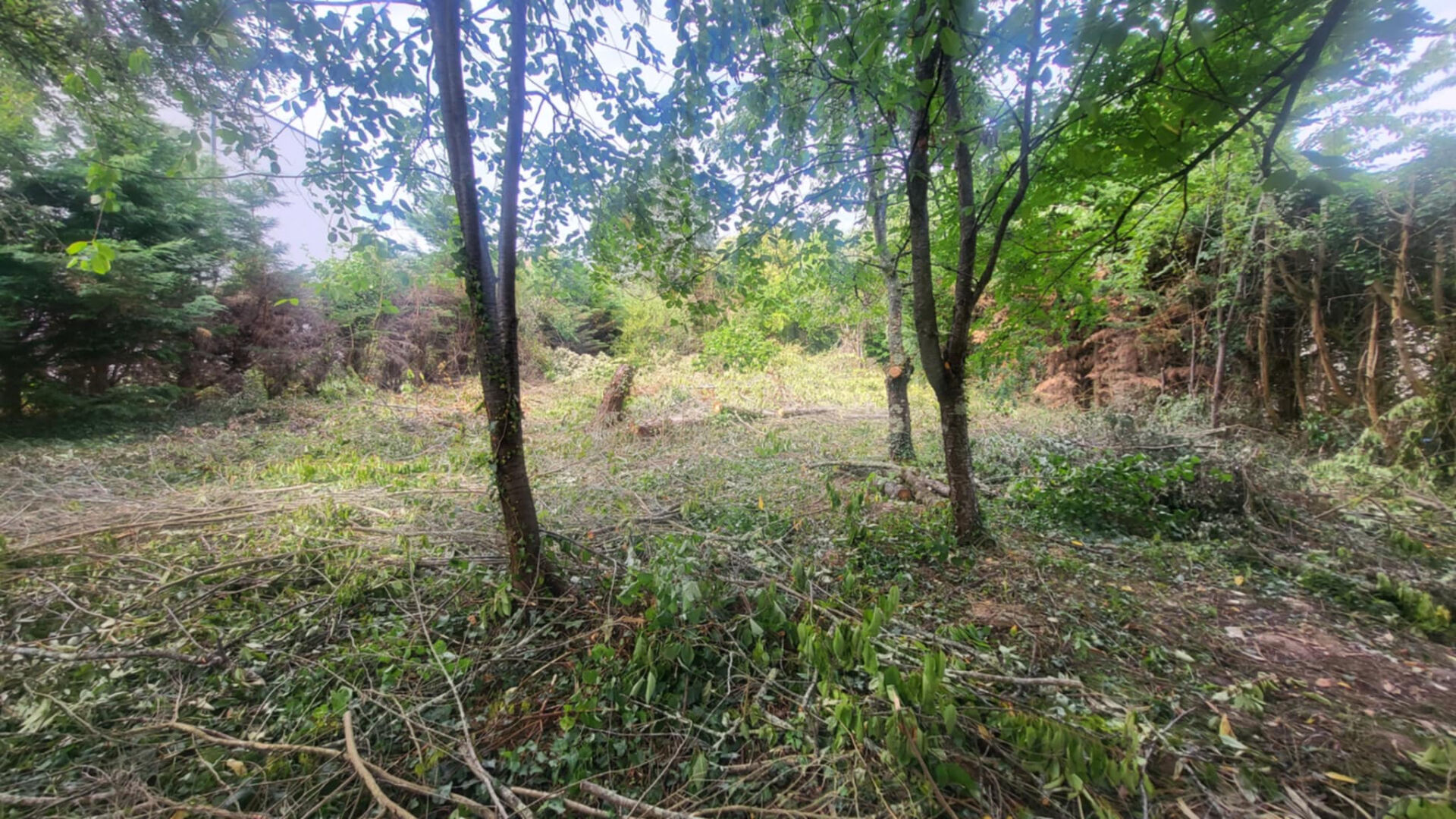 Terrain constructible viabilisé de 518 m² à Samoreau