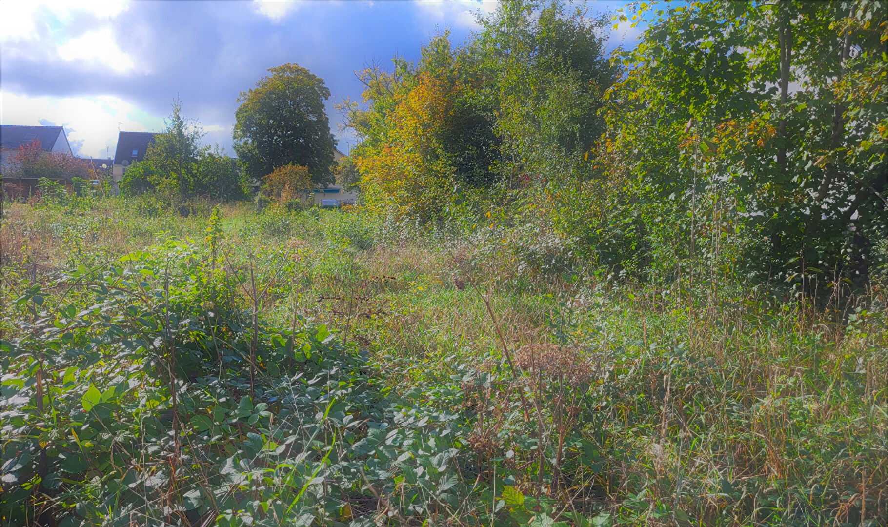Photo Terrains à vendre image 1/3