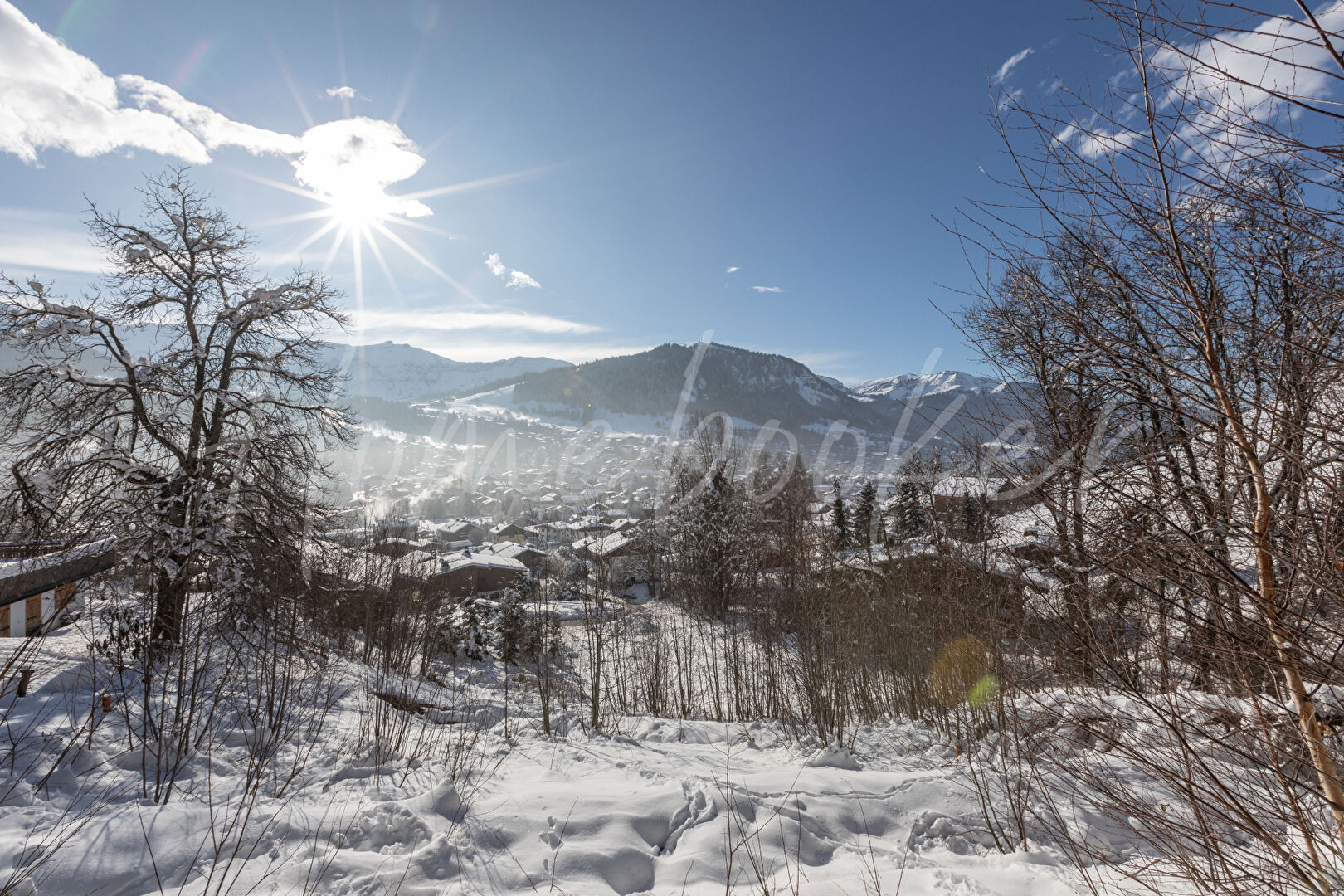 Photo Beau Terrain 3200 m² image 2/3