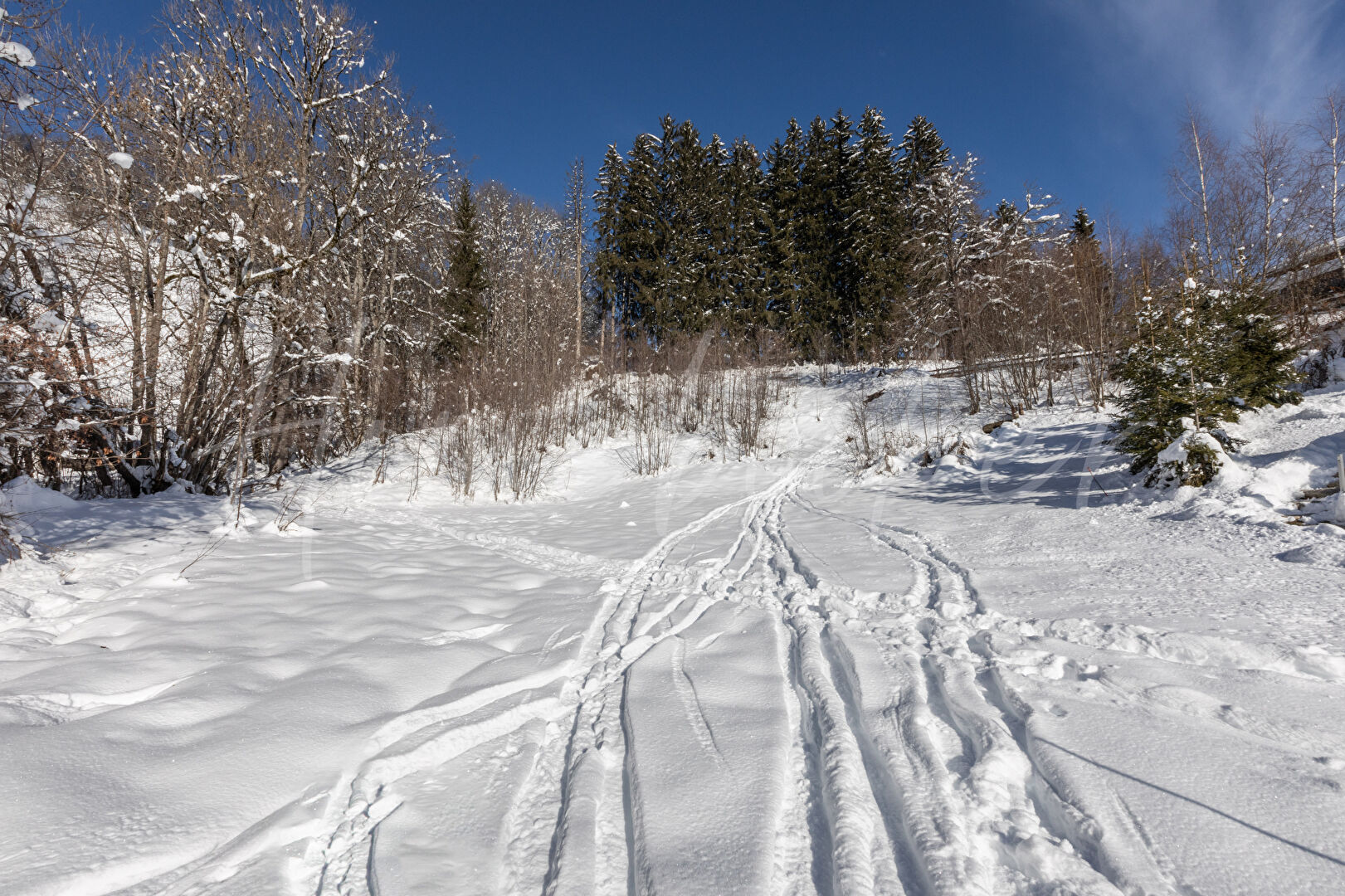 Photo Beau Terrain 3200 m² image 3/3