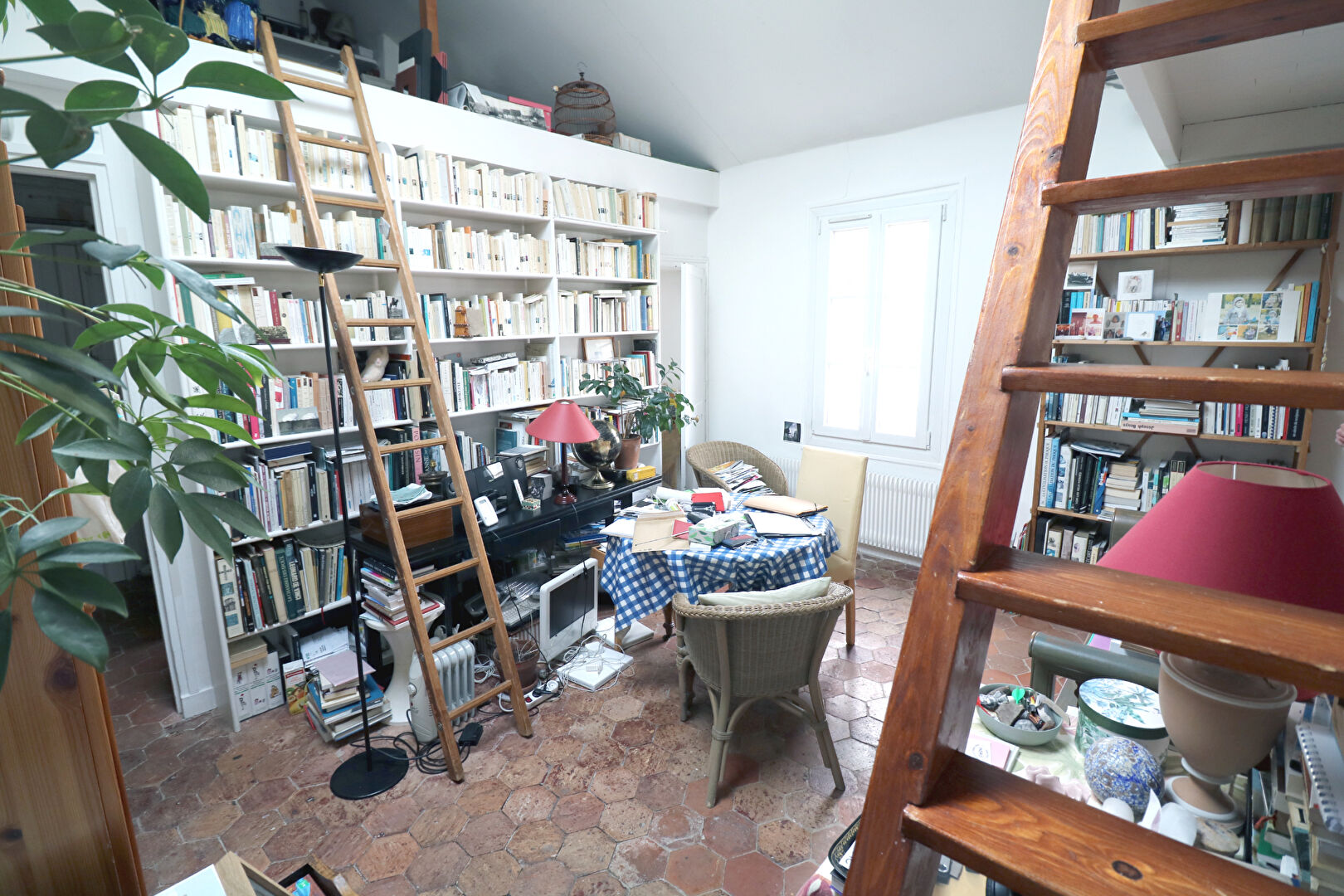 Photo Versailles - Notre Dame image 2/6