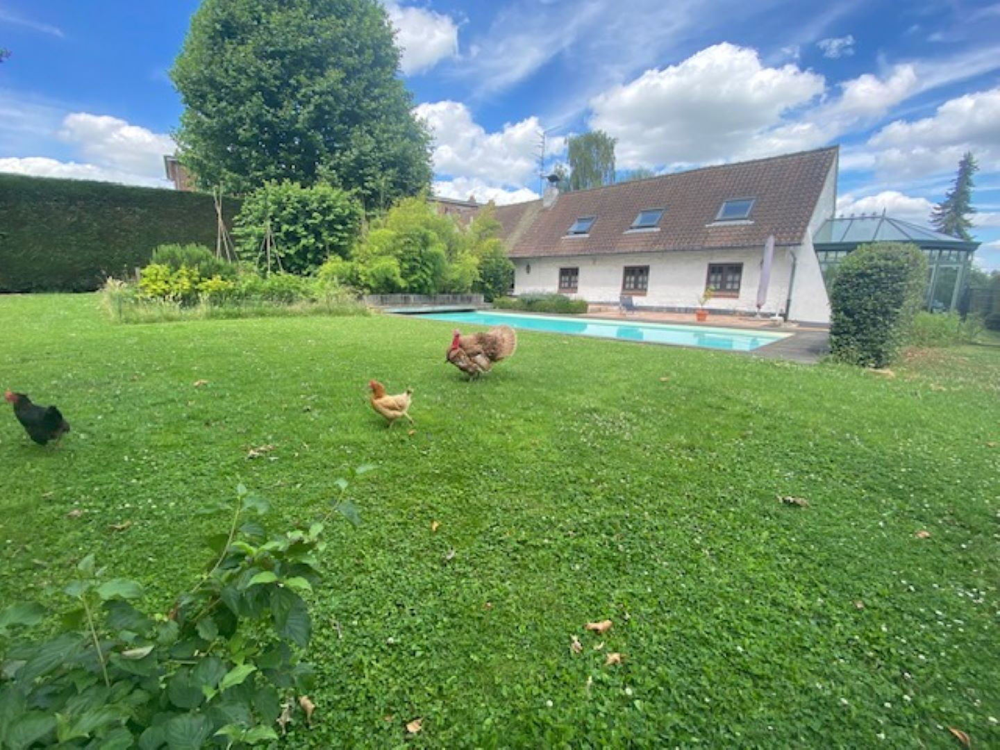 Photo NOUVEAUTE ET EXCLUSIVITE image 3/6