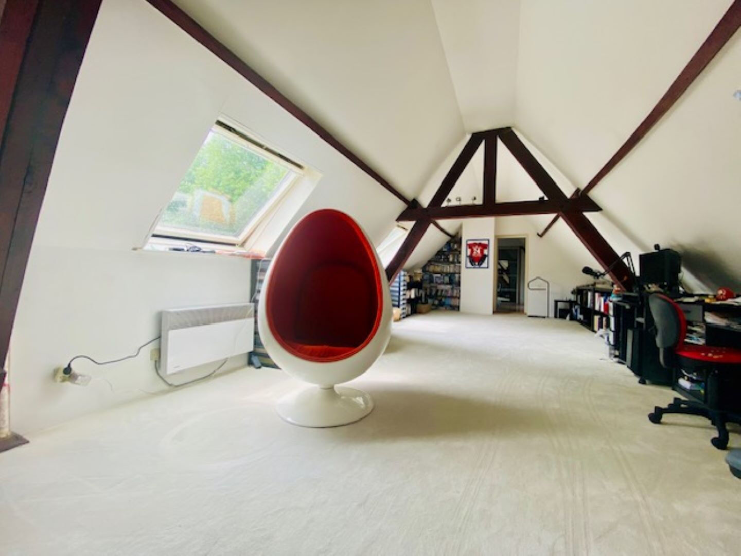 Photo NOUVEAUTE ET EXCLUSIVITE image 5/6