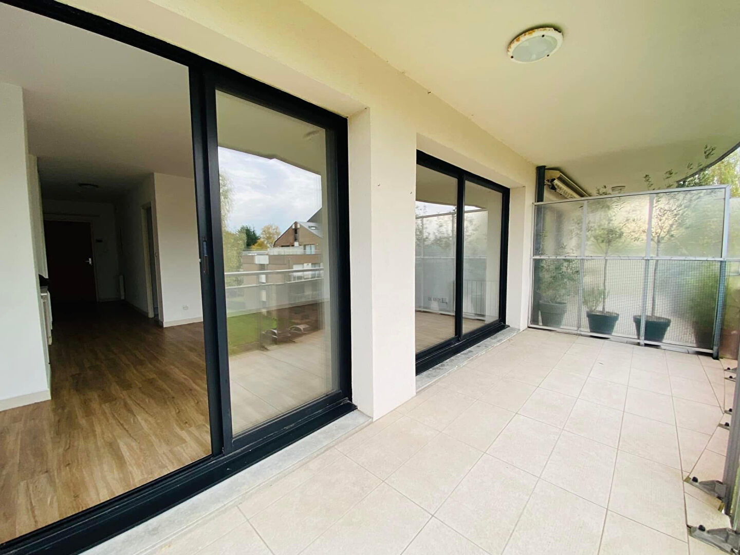 Photo NOUVEAUTE image 2/5