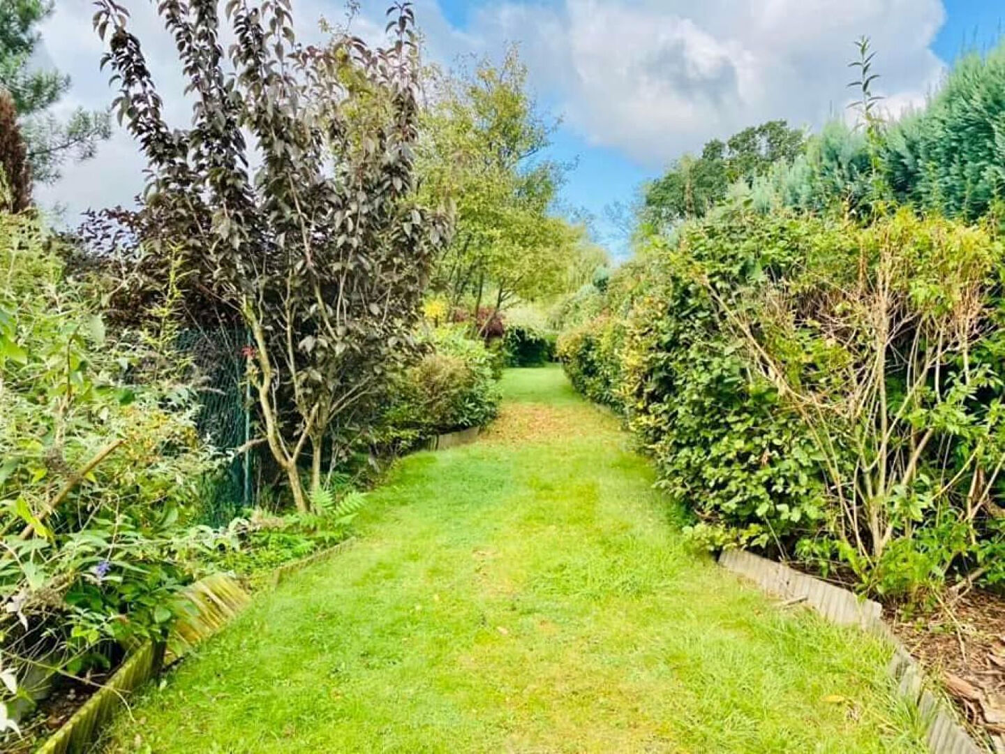 Photo BONDUES CROIX BLANCHE image 6/6