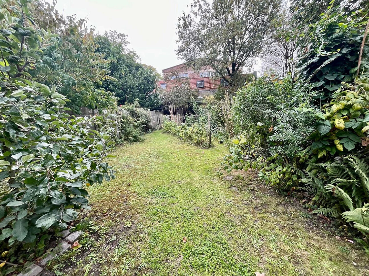 Photo NOUVEAUTE image 3/5