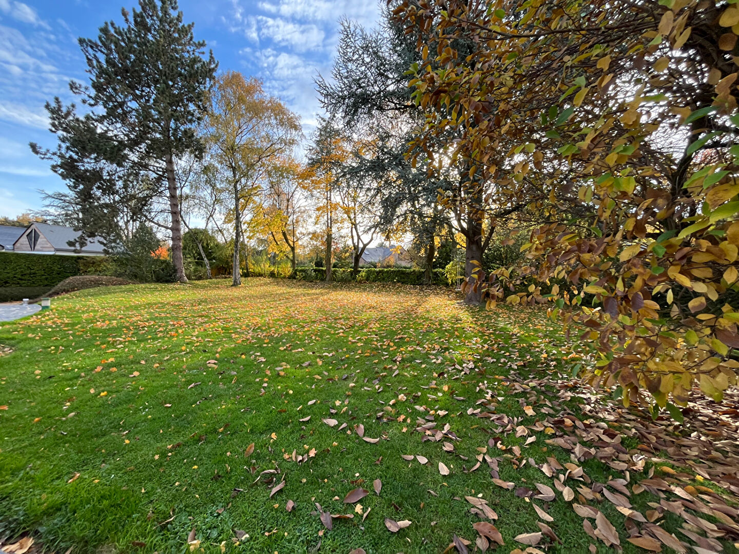 NOUVEAUTE BOIS D'ACHELLES