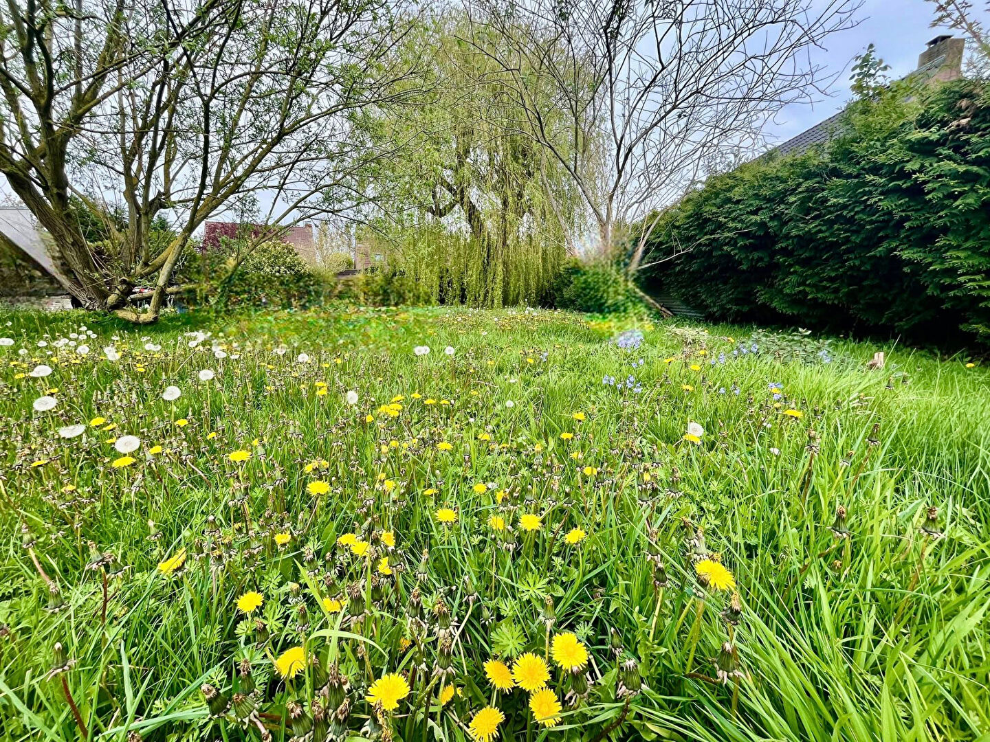 Agence immobilière de IMMOBILIERE DU GOLF Bondues - IMMOBILIERE DU GOLF