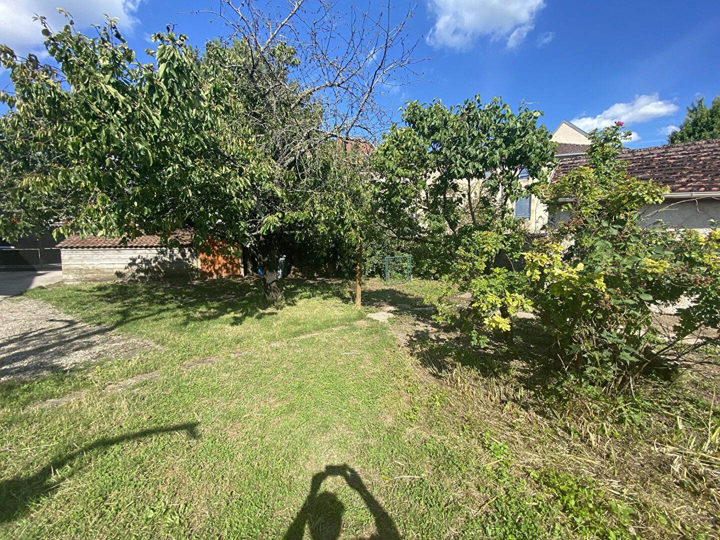 Photo Maison Chatel Sur Moselle 10 pièce(s) 207 m2 image 3/6