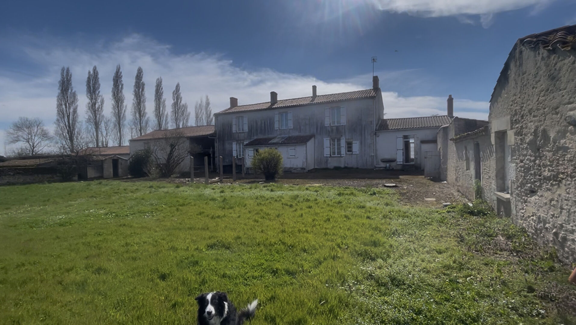 Agence immobilière de Immobilier du bord de mer - IMMOBILIER DU BORD DE MER