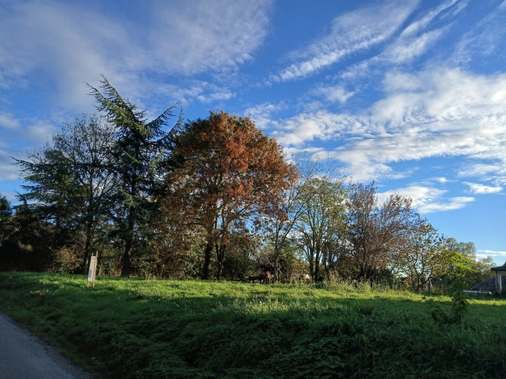 Terrain à batir centre village Thil