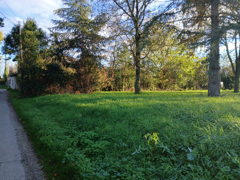 Agence immobilière de IMMOBILIERE DU BARRY Levignac - IMMOBILIERE DU BARRY