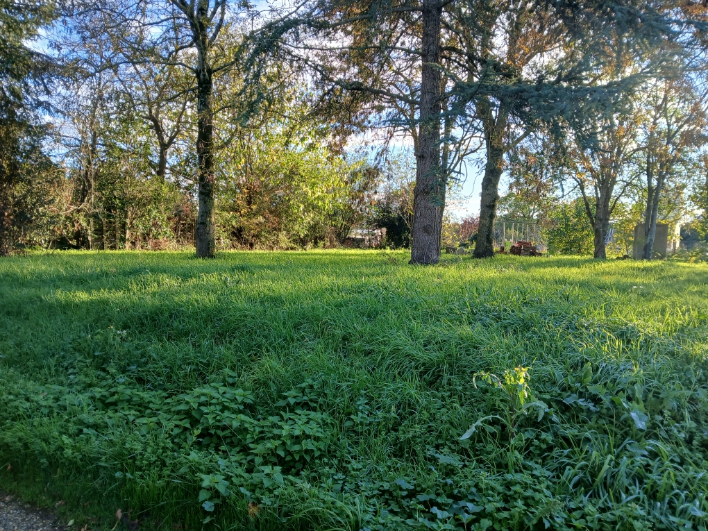 Photo Terrain à batir centre village Thil image 2/3