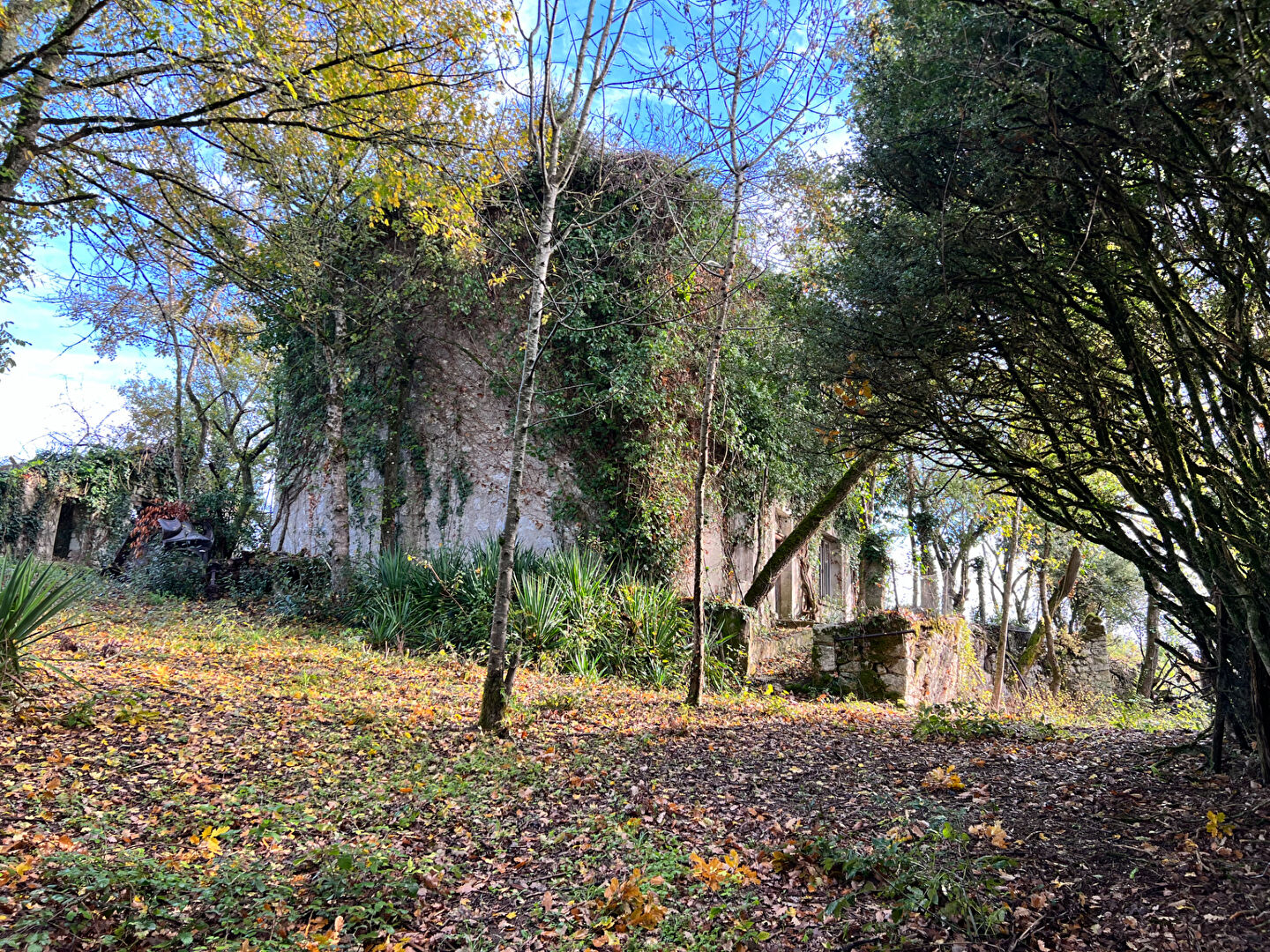 Photo Maison à rénover image 2/6