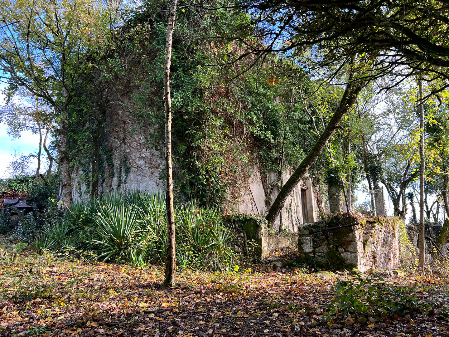 Photo Maison à rénover image 3/6