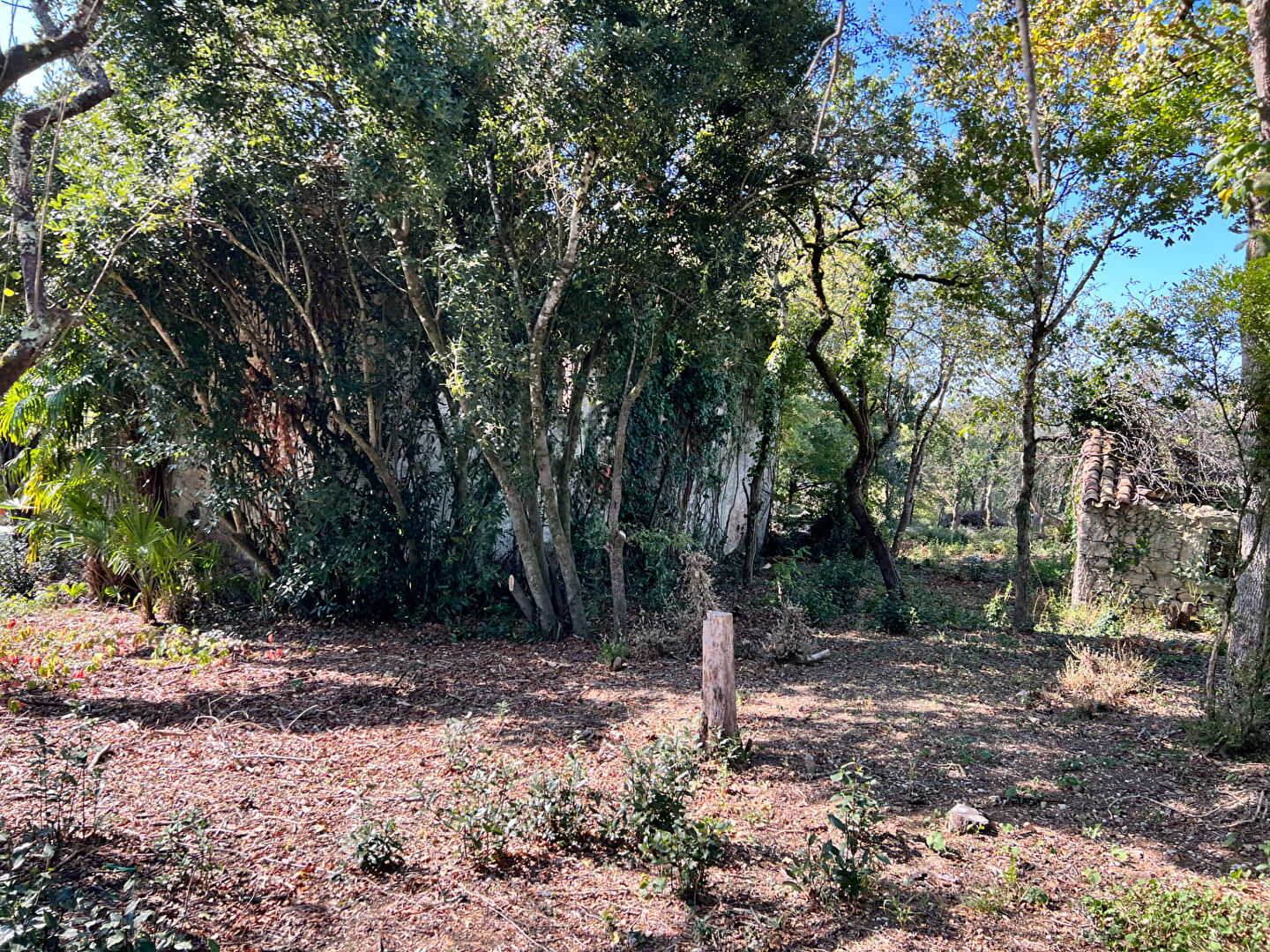 Photo Maison à rénover image 4/6