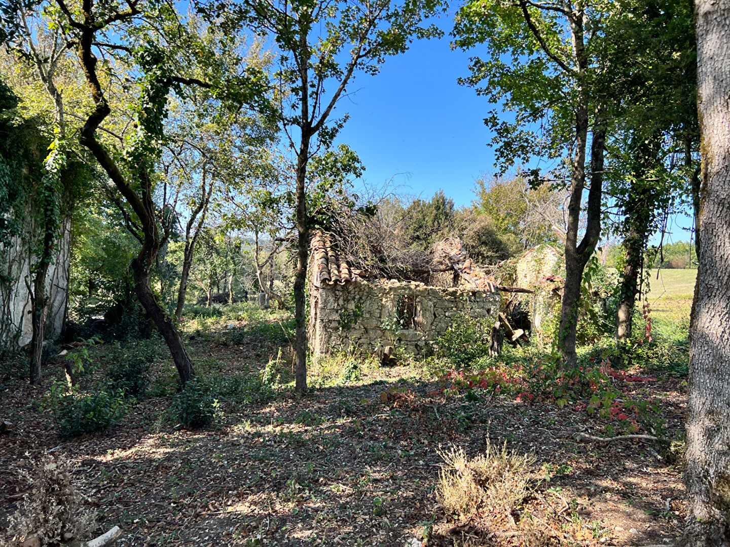 Photo Maison à rénover image 5/6