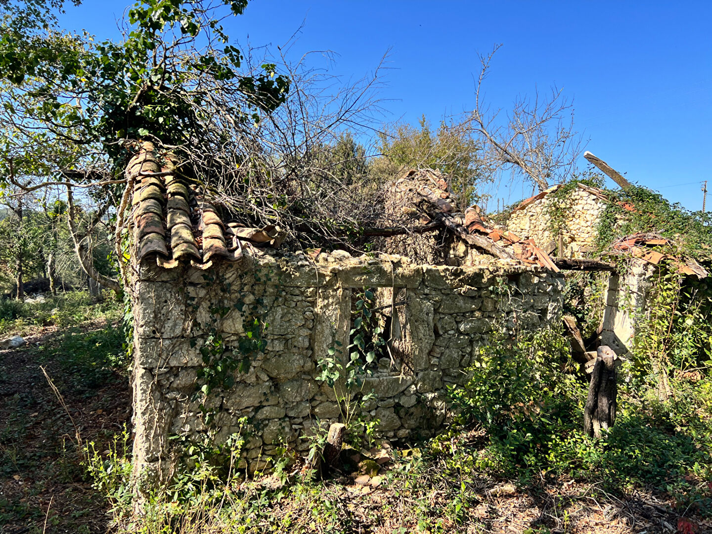 Photo Maison à rénover image 6/6