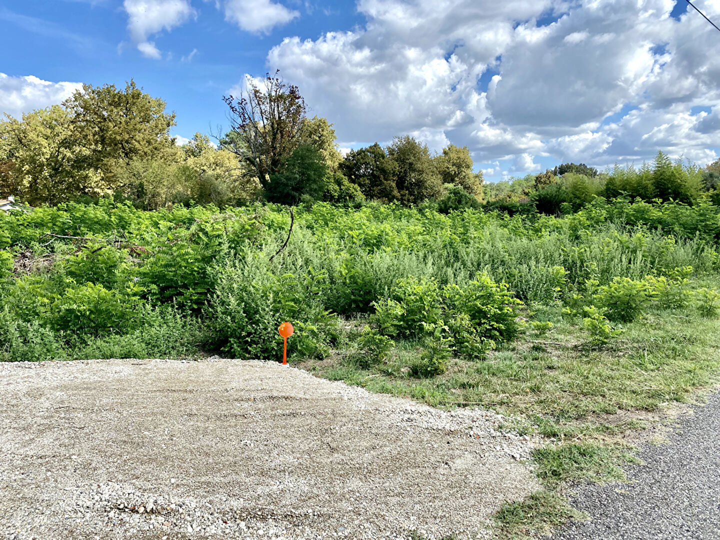 ST SELVE TERRAIN LIBRE VIABILISE DE 1062M2