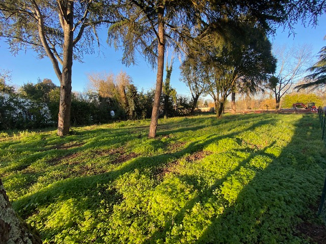 TERRAIN INDIVIDUEL LIBRE DE CONSTRUCEURS DE 718M2