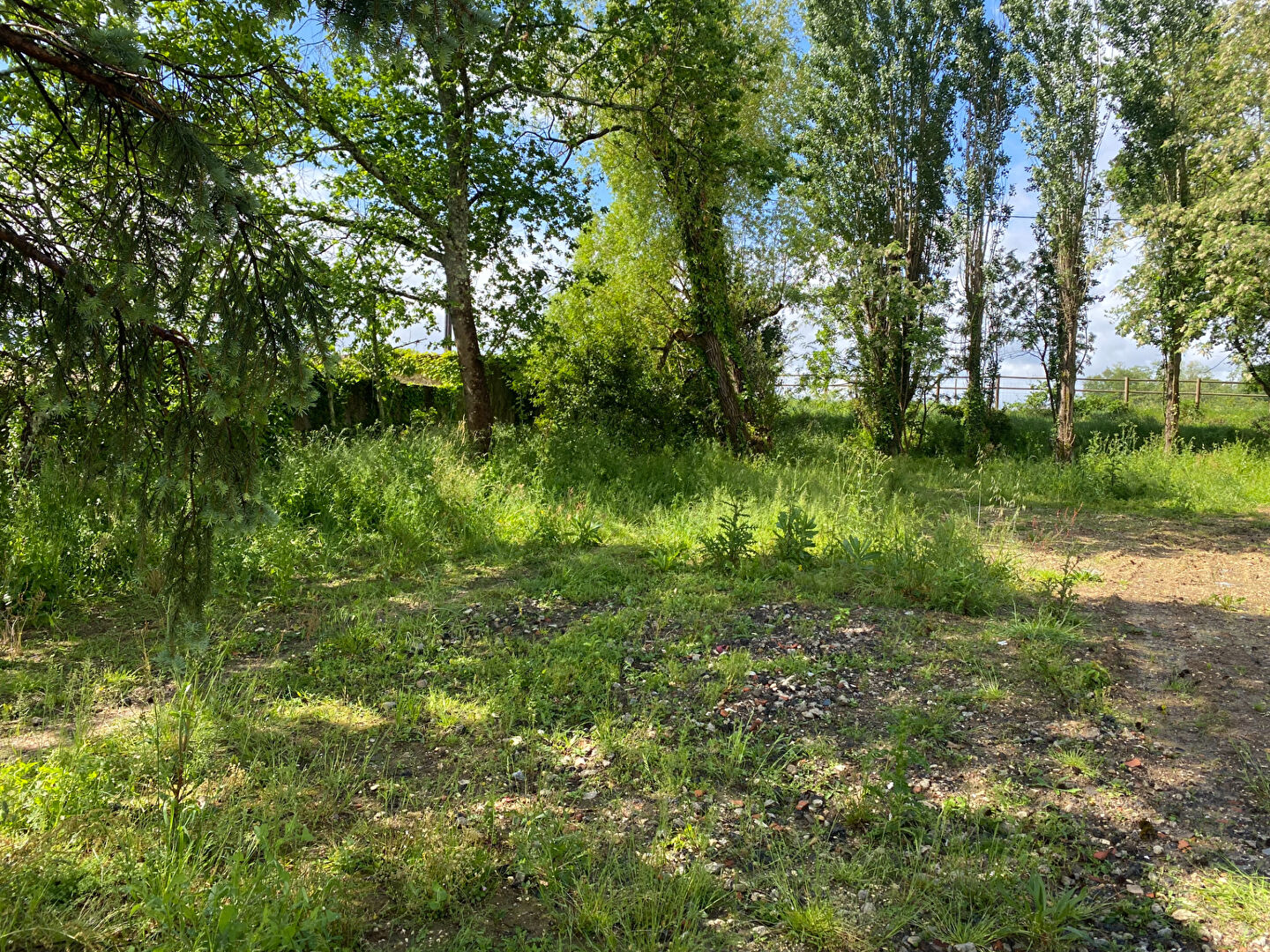 Photo Terrain 818m2 viabilisé construction libre image 2/3