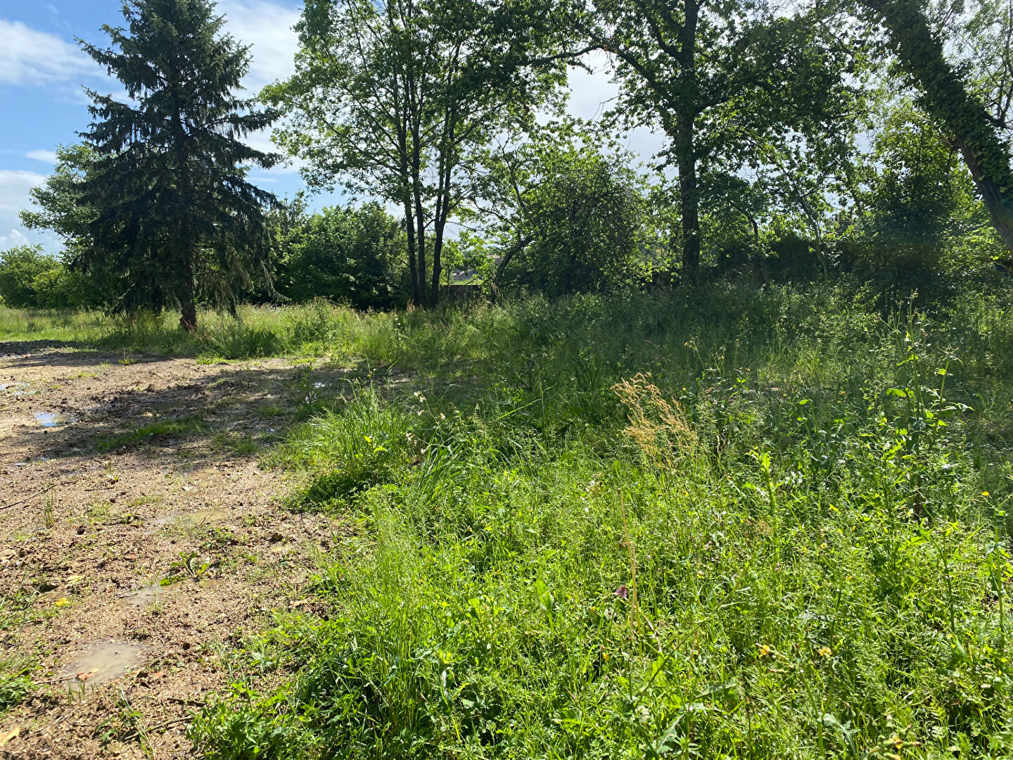 Photo Terrain 818m2 viabilisé construction libre image 3/3