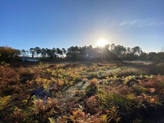 Photo Terrain viabilisé de 324 m2 au lac de Parentis -en -born image 2/4