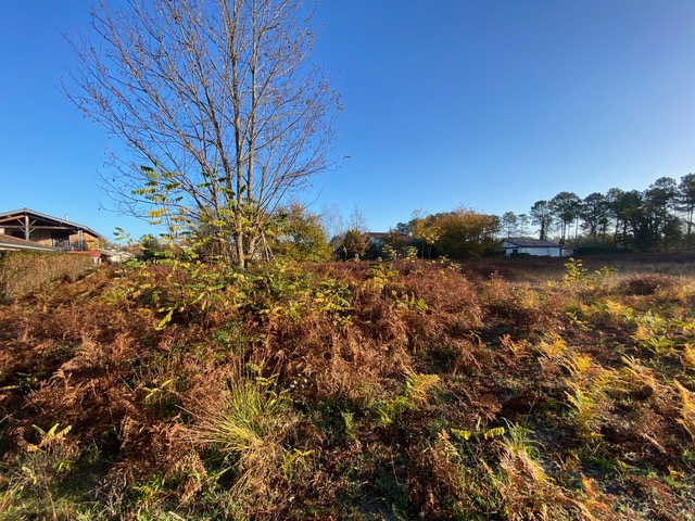 Photo Terrain viabilisé de 324 m2 au lac de Parentis -en -born image 3/4