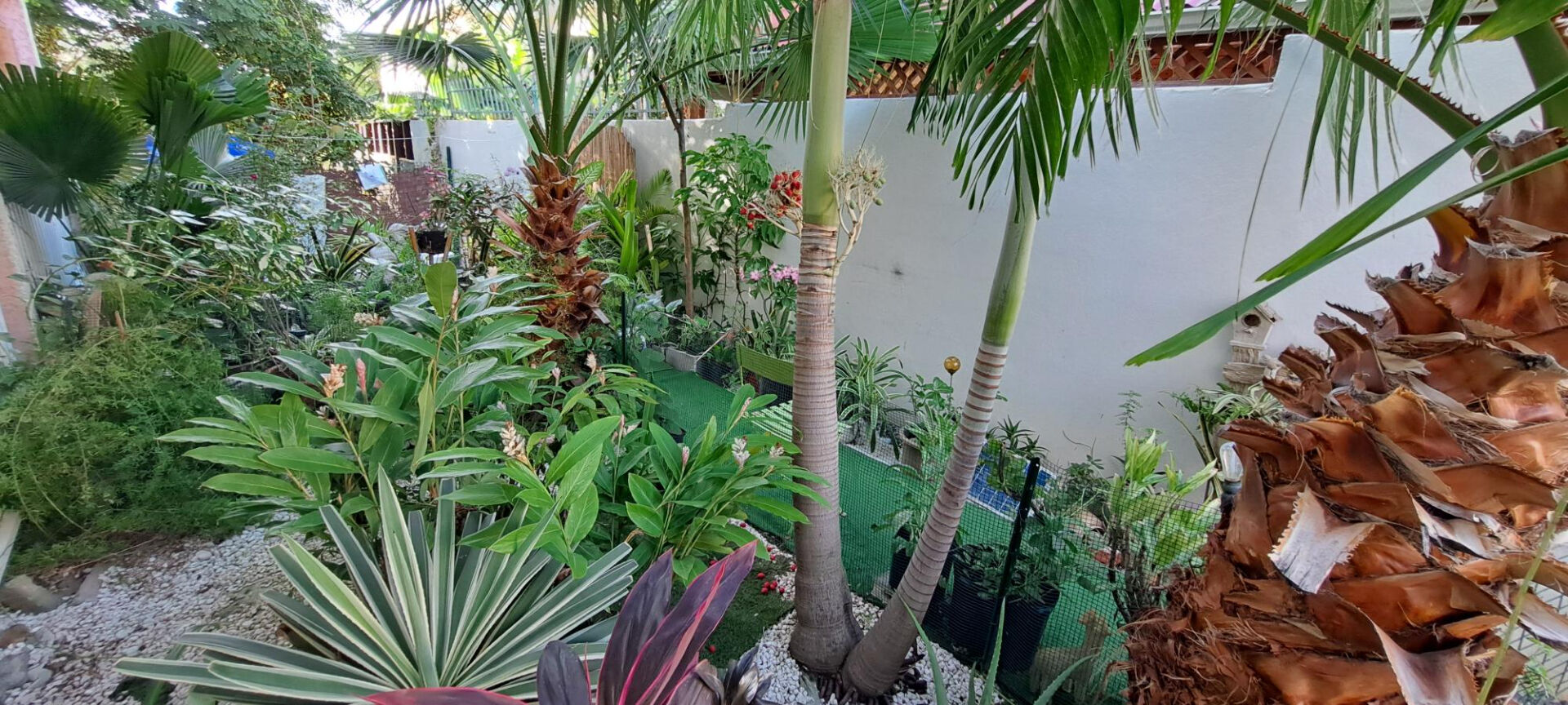 Photo T2 à vendre à Concordia image 2/2