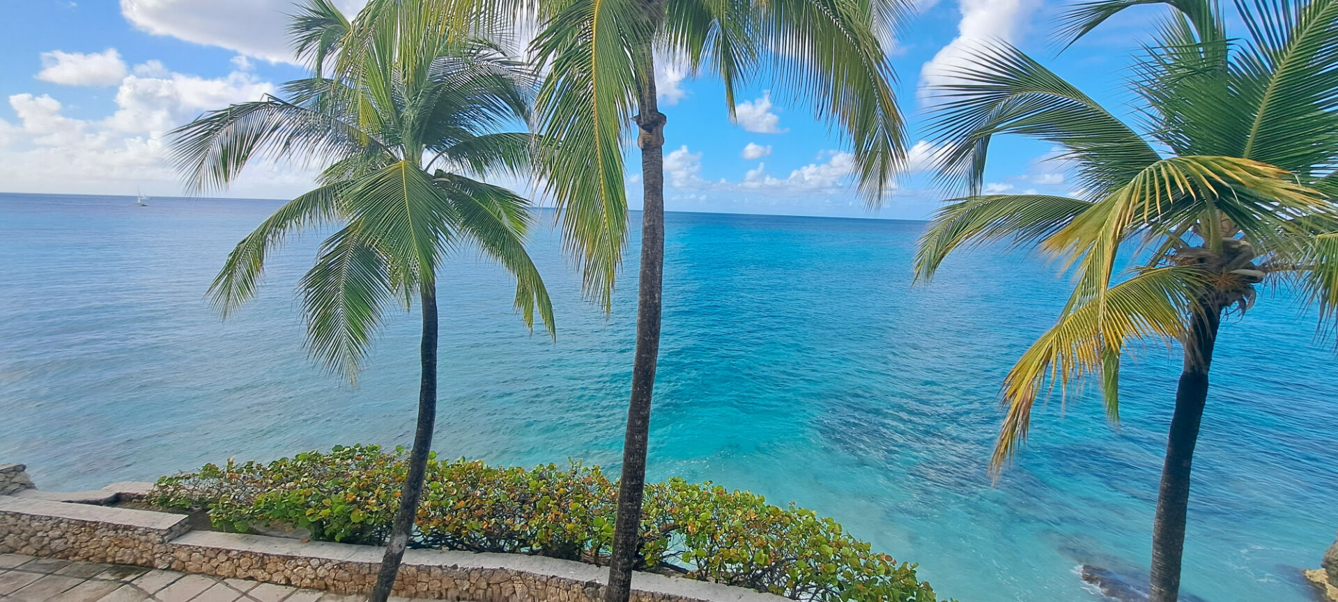 Agence immobilière de IMMO-DOM Saint-martin - IMMO-DOM