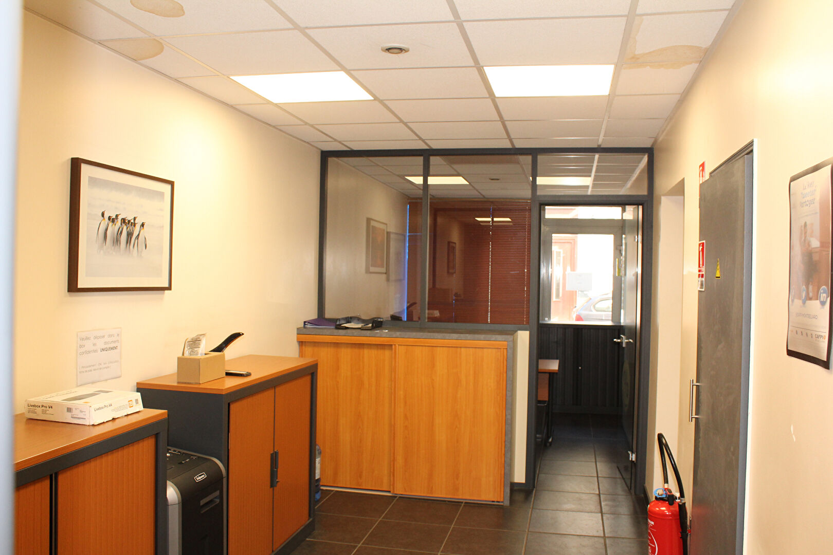 Photo Investisseur ou professionnel image 3/6