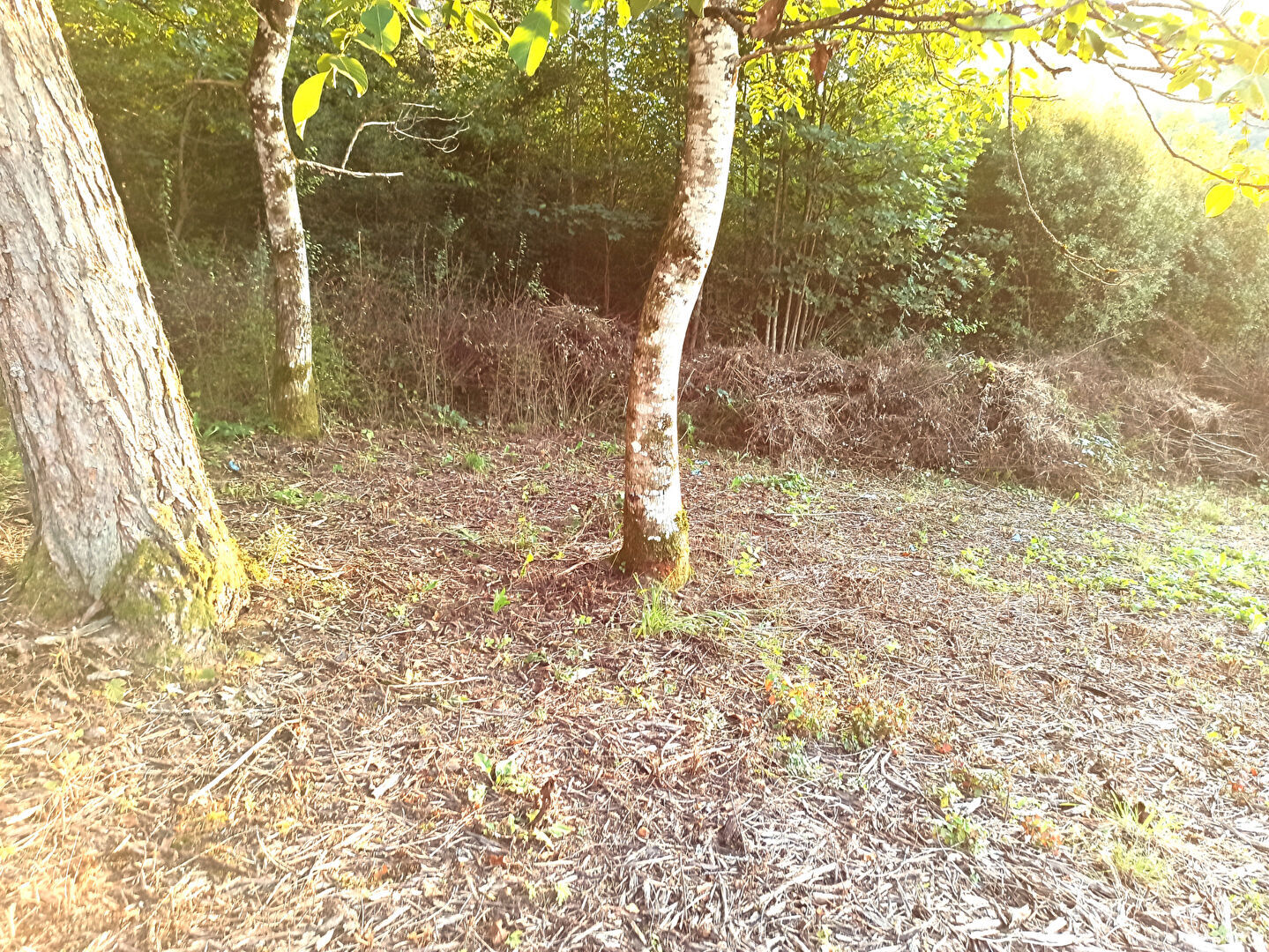 Photo Terrain à bâtir de 1 035m²   ORNANS image 3/4