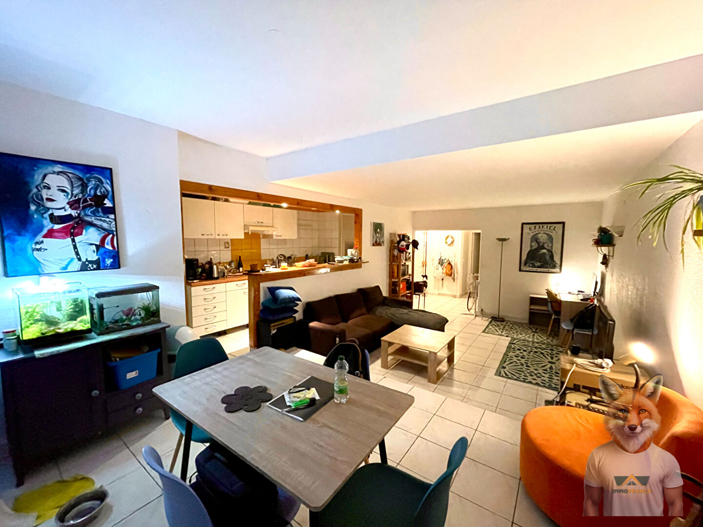 Appartement  Grand T2  lumineux _ 60 m2 _Avenue Fontaine Argent