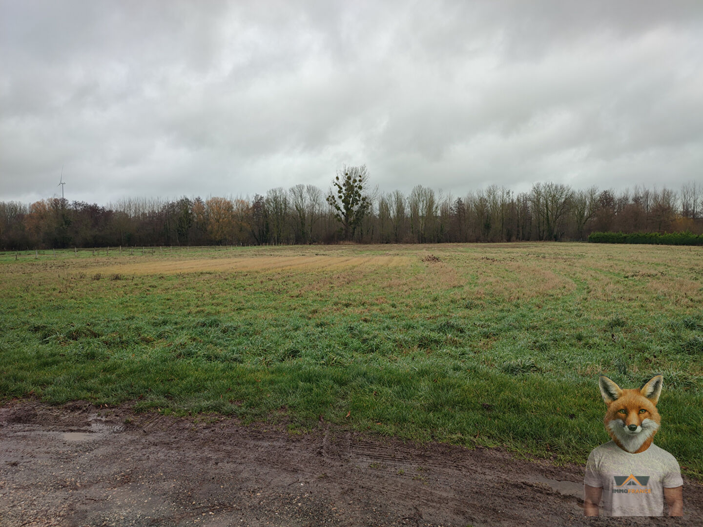 Photo Terrain SOLIGNY LES ETANGS image 1/1