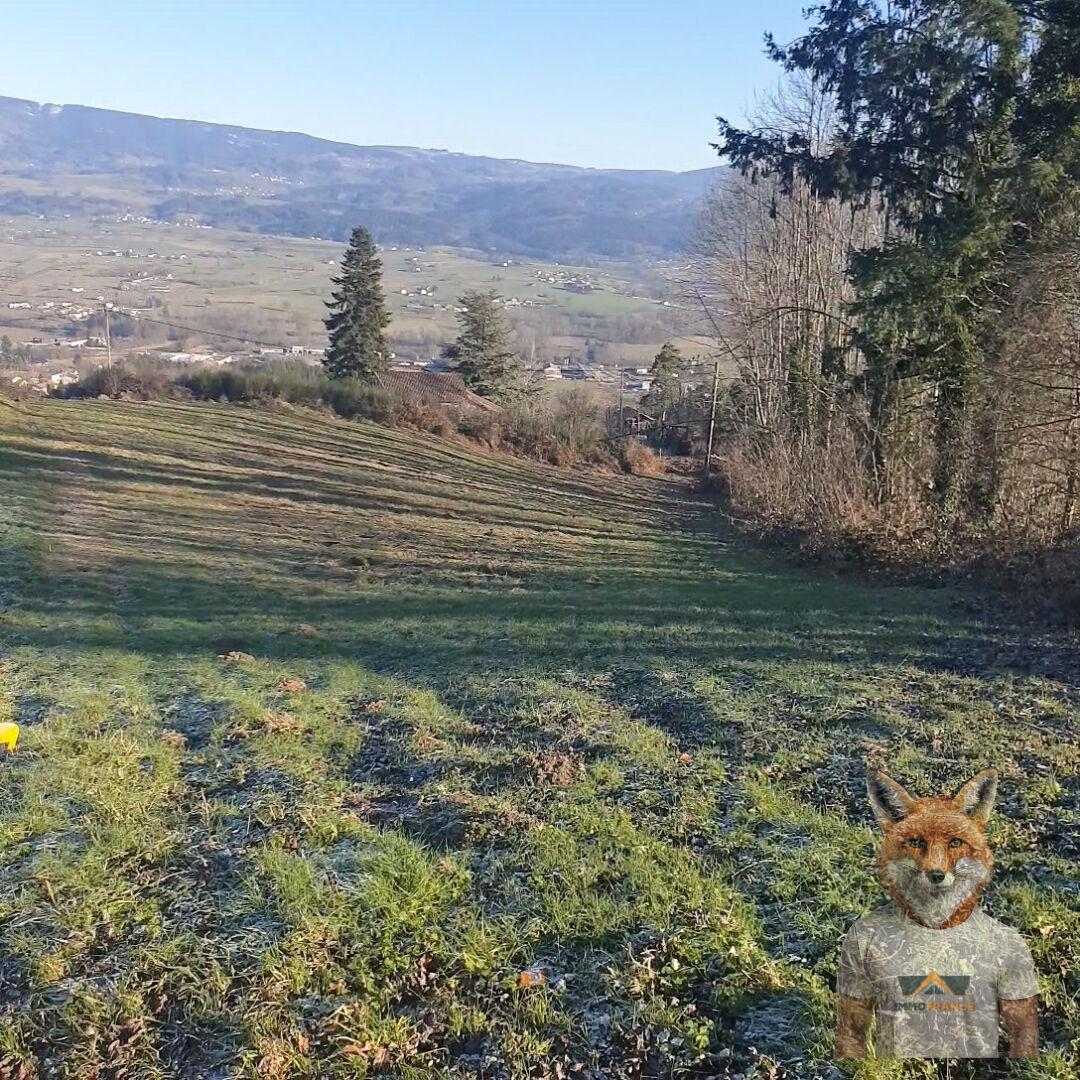 Terrain Saint Ferreol Des Cotes 3248 m2