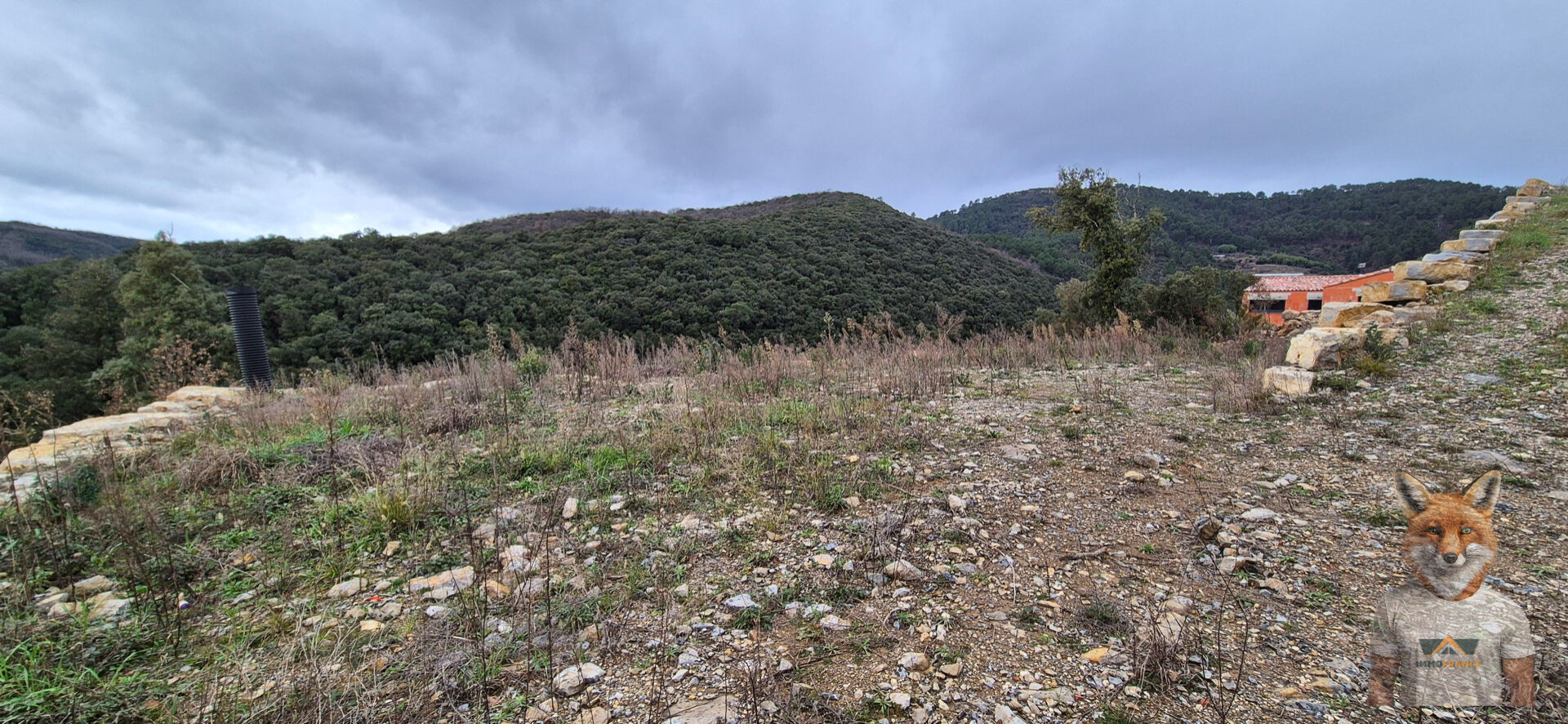 Terrain Saint Jean Du Pin 1082 m2