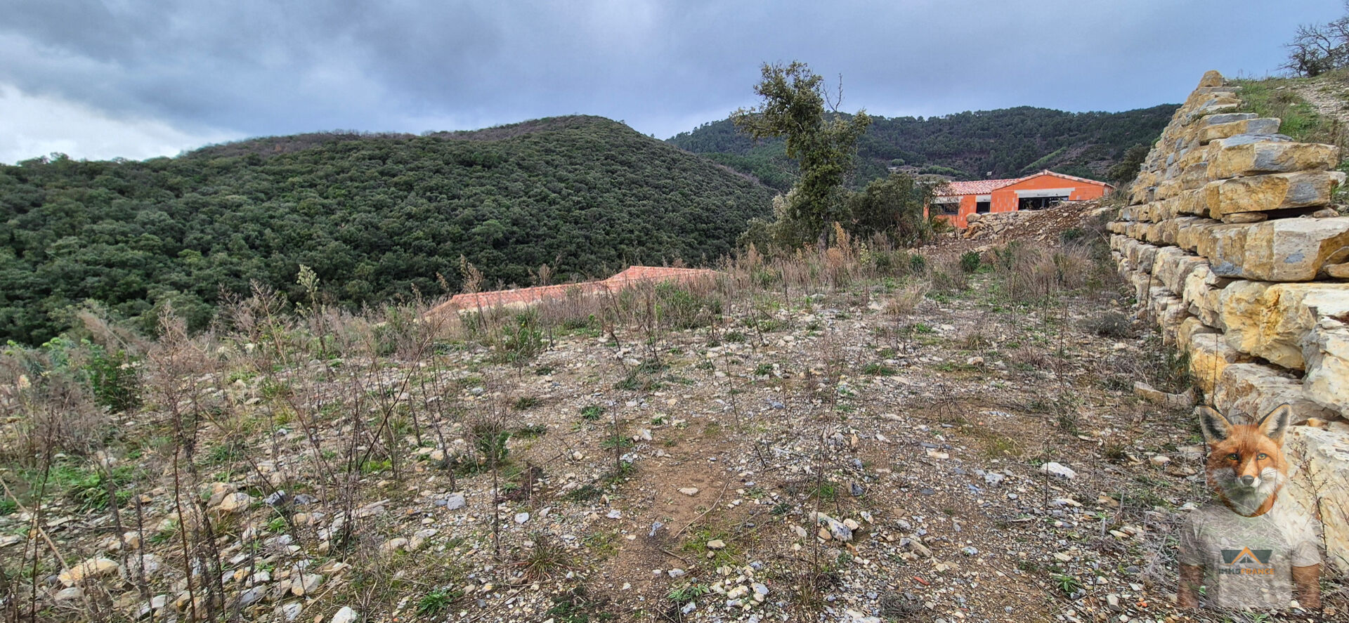 Photo Terrain Saint Jean Du Pin 1082 m2 image 2/6