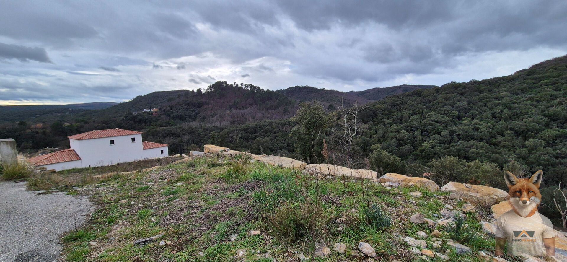 Photo Terrain Saint Jean Du Pin 1082 m2 image 4/6