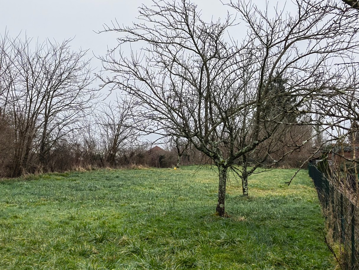 Photo terrain à bâtir image 2/5