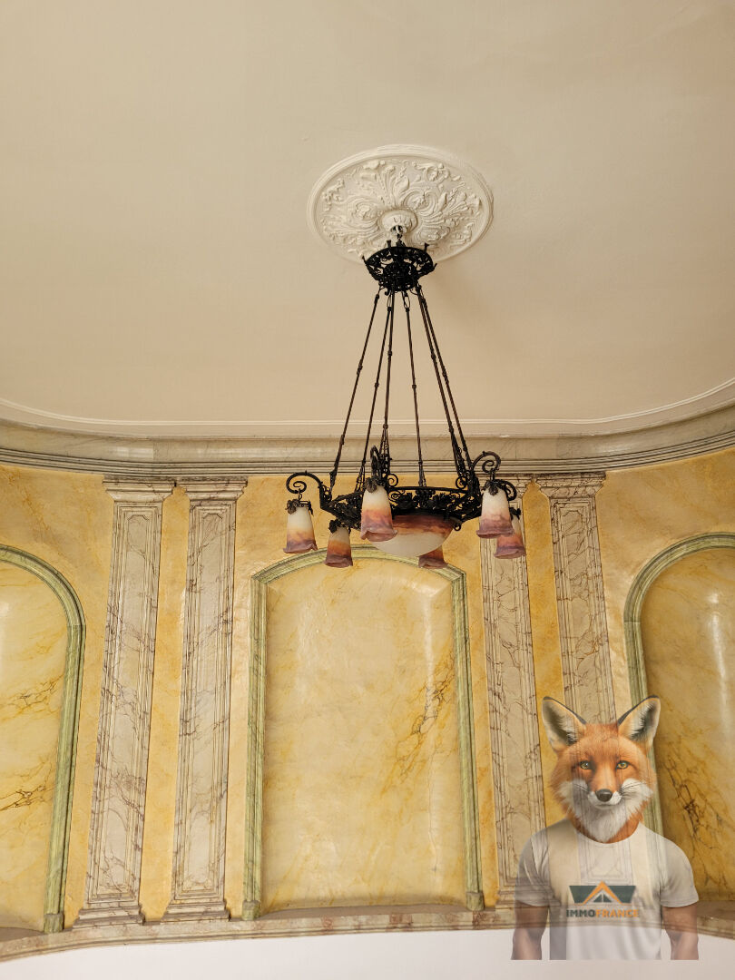 Photo Maison de Maître 20 pièces sur 485 m2 image 5/6