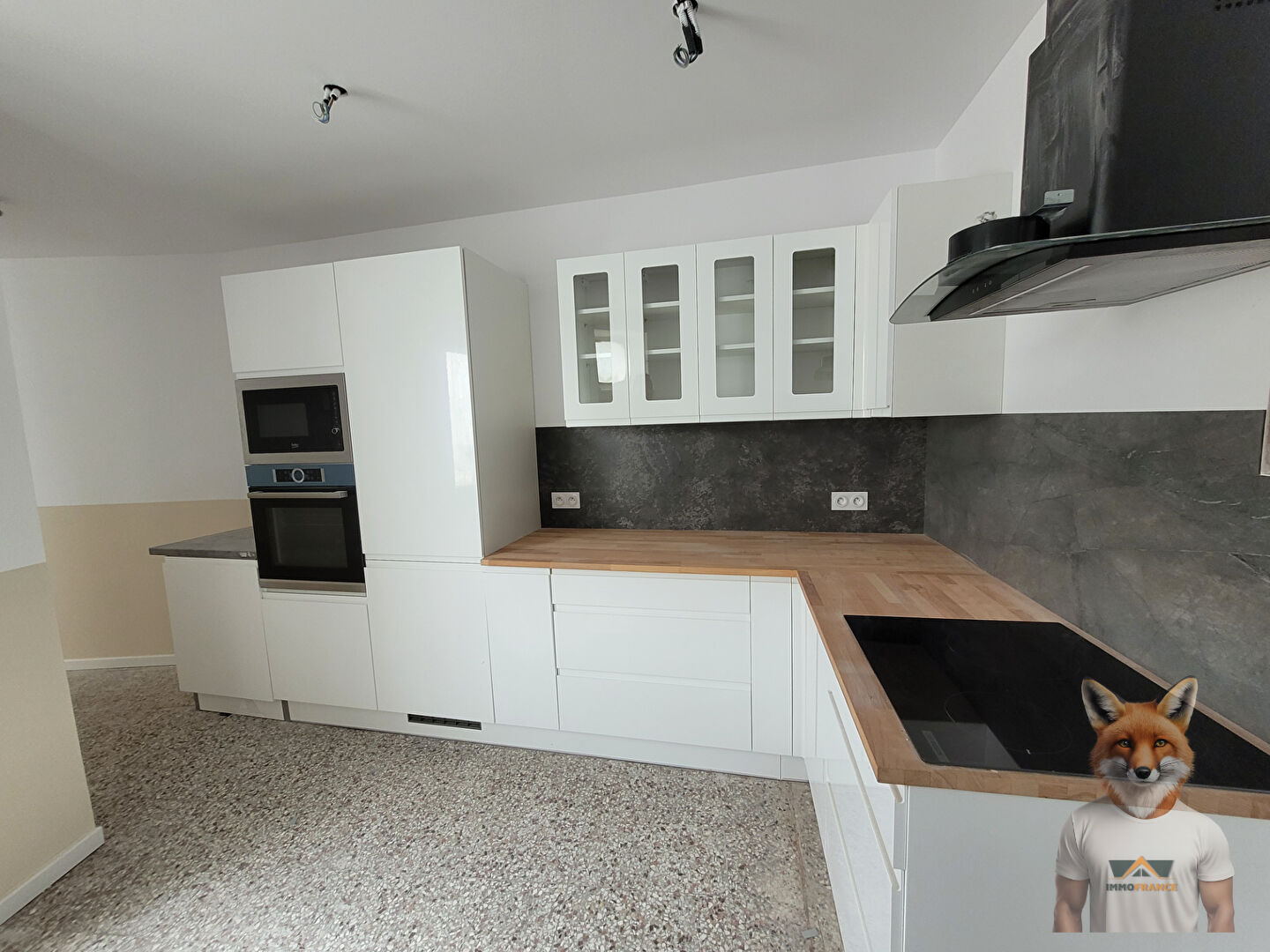 Photo Maison de Maître 20 pièces sur 485 m2 image 6/6