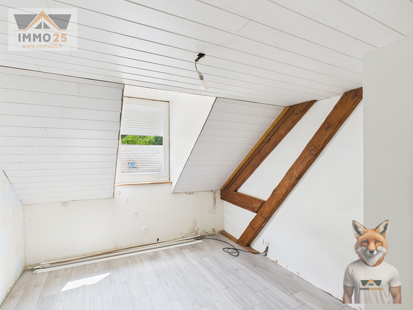 Photo Appartement La Cluse Mijoux 4-5 pièces  + mezzanines 110 m2 (145m2!) image 3/6