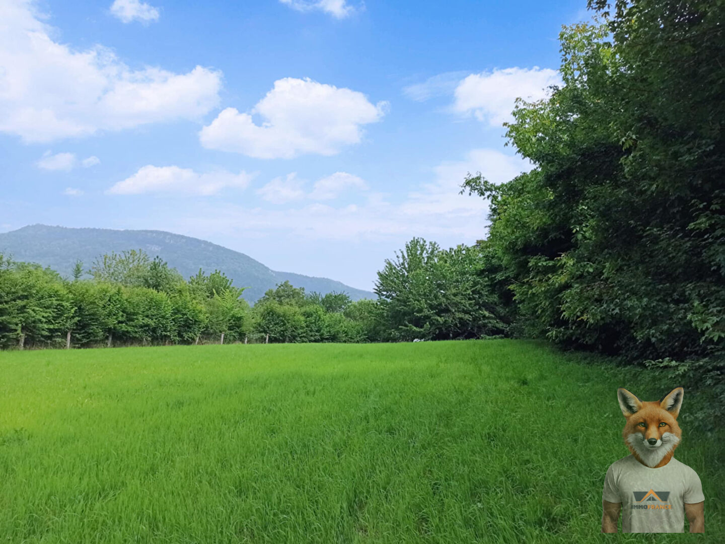 Grand terrain à bâtir 2550 m²  NANS-SOUS-SAINTE-ANNE