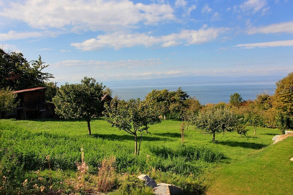 Photo Maison Lugrin 4 pièce(s) 106 m2 image 2/2