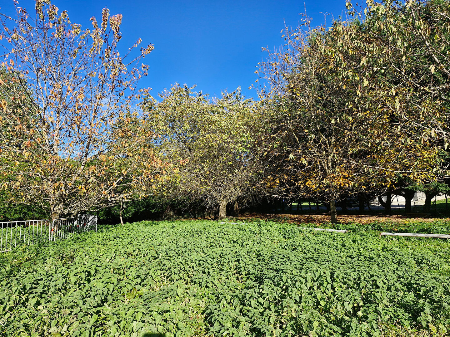 Photo Terrain Allinges 924 m2 image 2/3