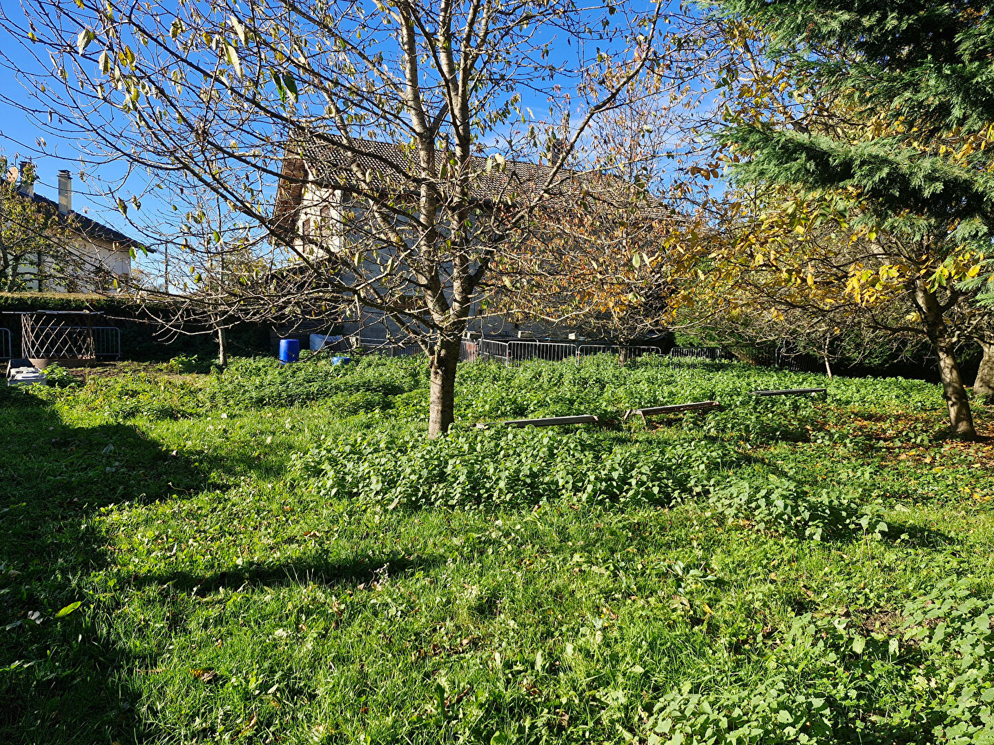 Photo Terrain Allinges 924 m2 image 3/3